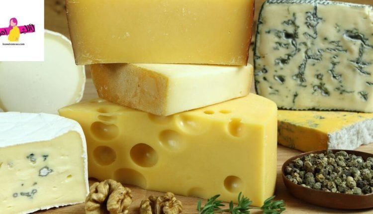 طريقة عمل الجبنة الرومي